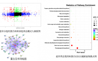 蛋白组学 数据分析，蛋白组学数据分析思路