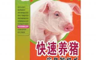科学养猪技术要点，科学养猪新技术